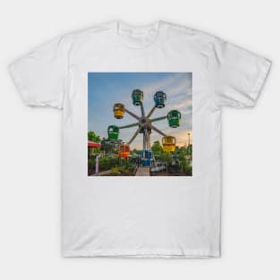 Kid ferris wheel T-Shirt